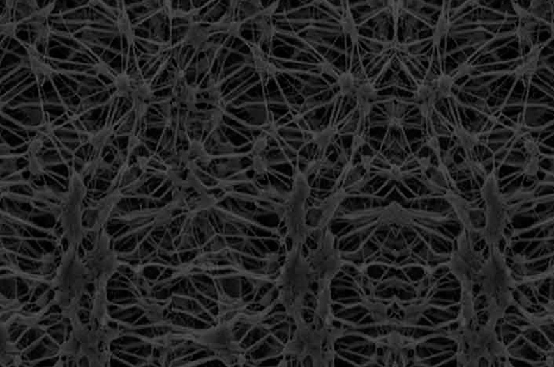 Porous PTFE Membrane: Innovative Pioneer in the Environmental Field